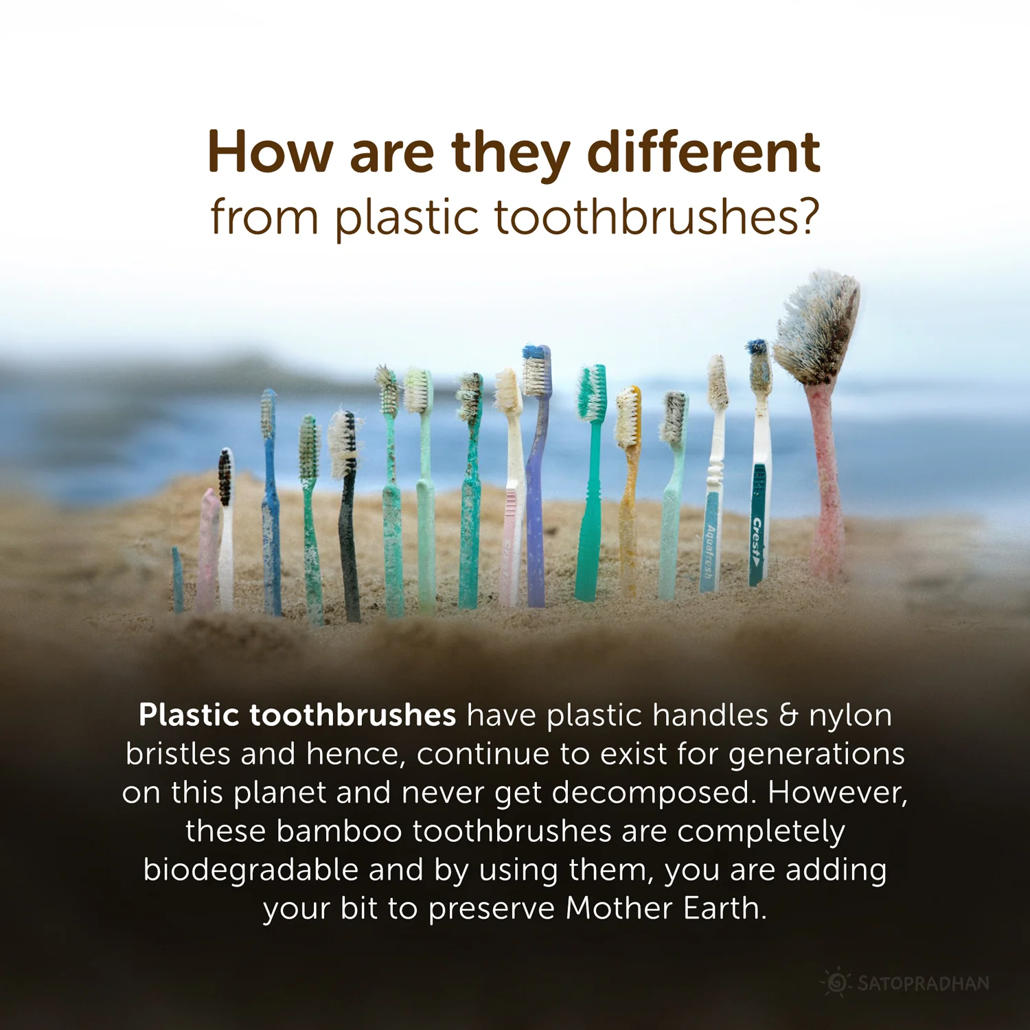 Set of 4 Bamboo Toothbrushes - Bamboo Handles & Gentle Dual Layer Bristles- Colored markings for easier identification - Image 4