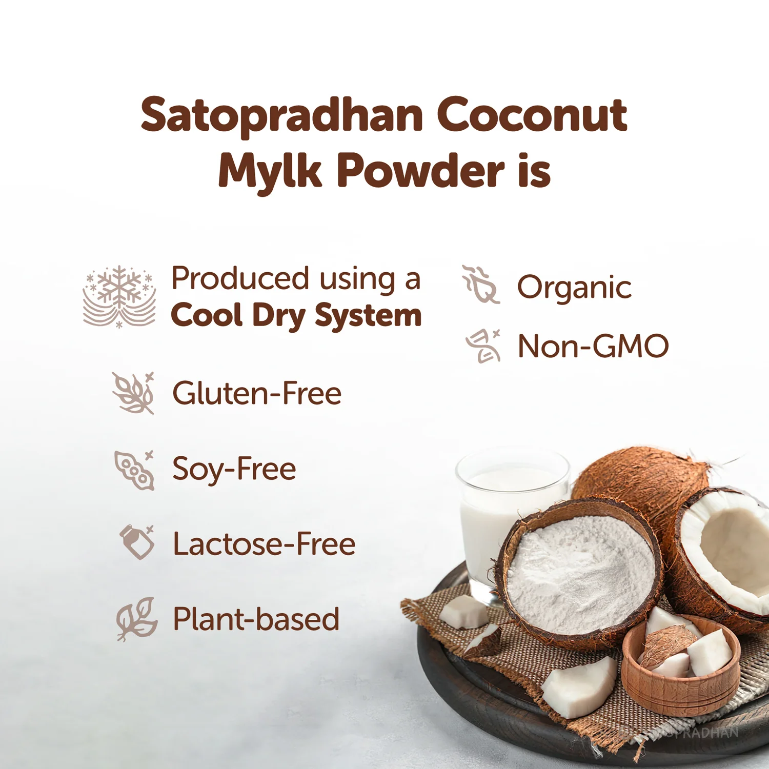 Coconut Mylk Powder 200g -100% Vegan & Pure | No Added Sugar or Flavour | Maltodextrin-Free - Image 3