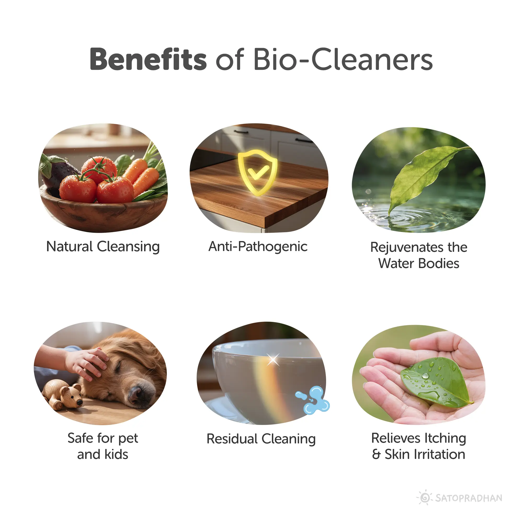 Eco Home Cleaners Trial Pack - 6 Bio Enzyme Based Natural Cleaners Free of Harmful Chemicals in Upcycled Plastic Bottles of 250ml - Image 4