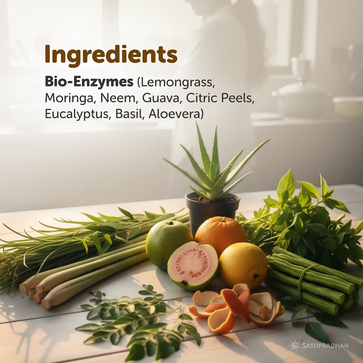 Natural Fruit & Vegetable Wash 750ml/1.9L - Bioenzyme Based Produce Cleaner - Chemical-Free Vegetable Wash Liquid Cleaner - Image 5